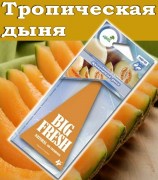 BiG  FRESH Тропическая дыня